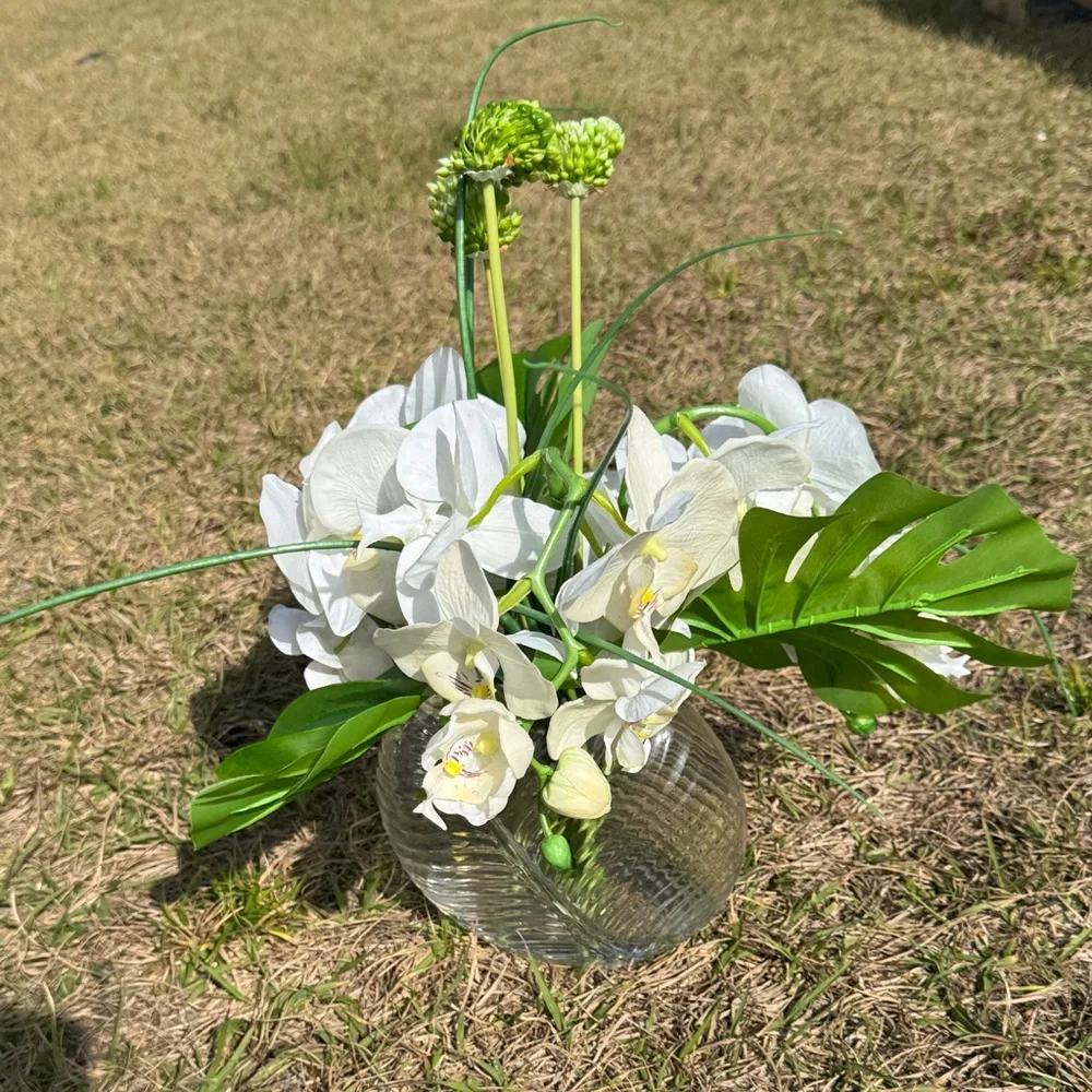 White and Green Orchid Display